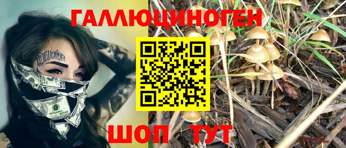 Галлюциногенные грибы GOLDEN TEACHER Нефтекумск
